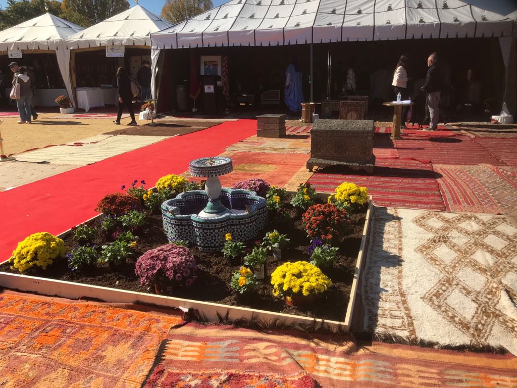 flower garden outside