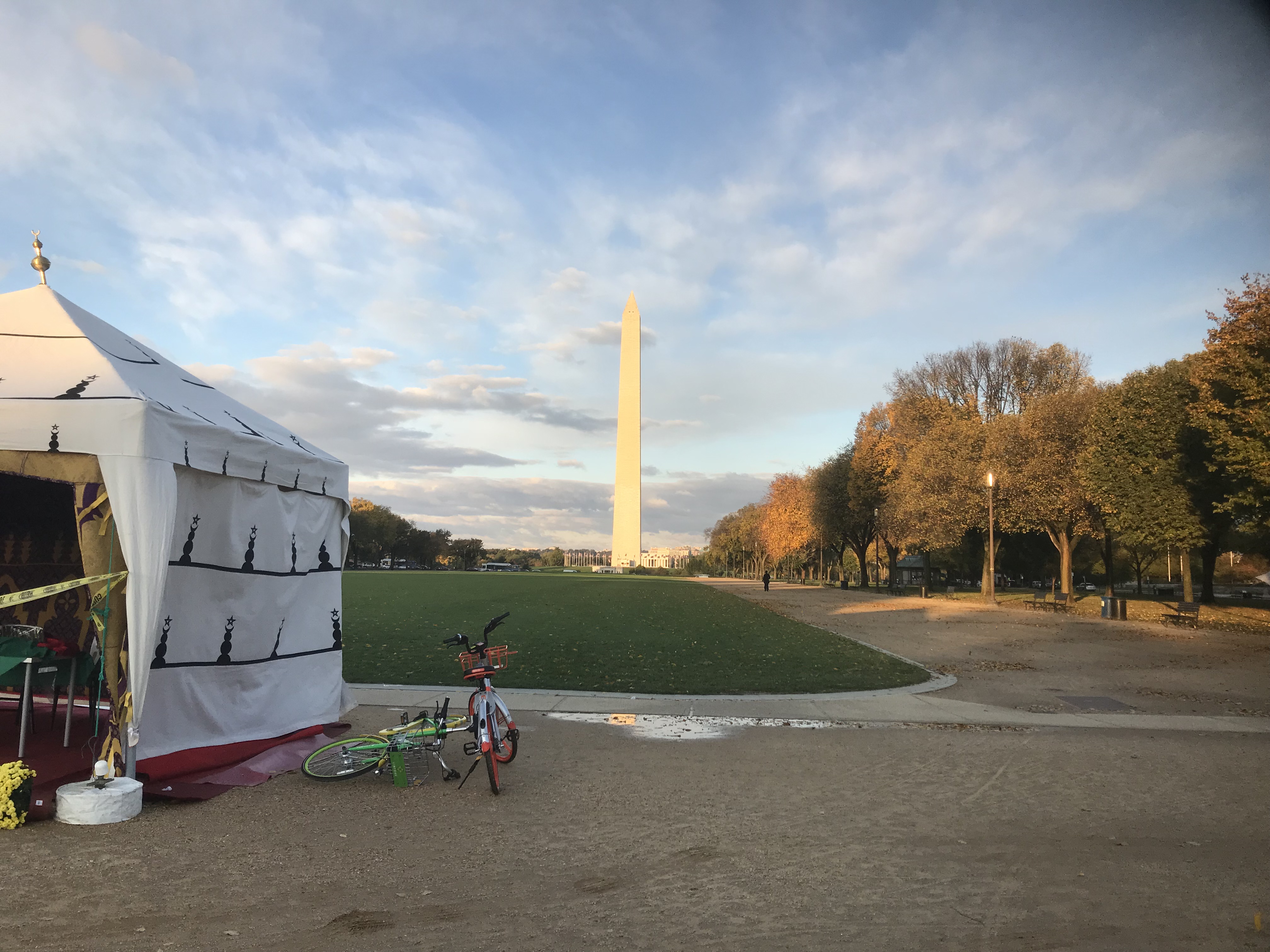 bike and grass field